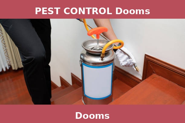 PEST CONTROL Dooms